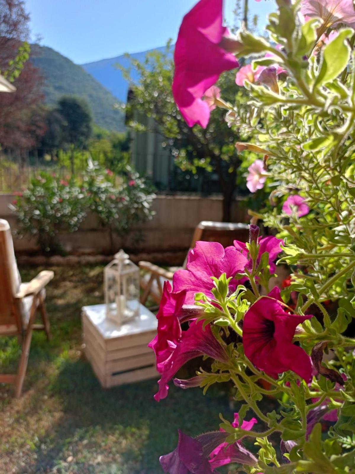 La Civetta Appartamento Con Giardino E Parcheggio Nave  Bagian luar foto